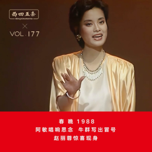 Vol.177 春晚1988|阿敏唱响思念牛群写出冒号，赵丽蓉惊喜现身