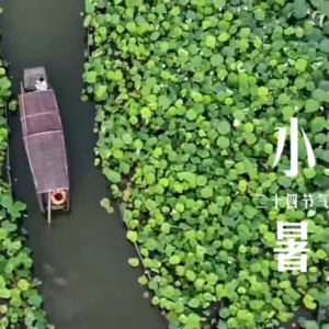 【邂逅时节-小暑】夏日叙事曲：消夏美食、关于夏天的爱与友谊