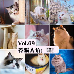 Vol.69 从零开始的养猫入坑指南（上）：被猫驯化是最幸福的事