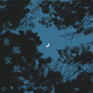 【死亡书社01】共读《臣服实验》:小小的冥想,看看生命在此建成了什么?