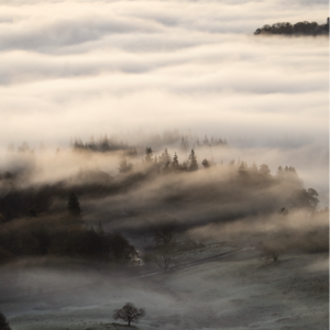 22. 《被讨厌的勇气》留给我们什么