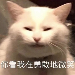 30岁之前有一套自己的房子？一线城市买房记