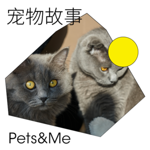 Pets&Me｜暖冬故事簿