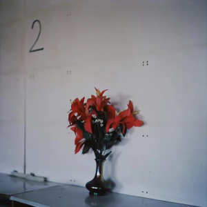 VOL.4: Get塔罗的一个Vibe，喝一杯玄学的热水 | Leslie Zhang