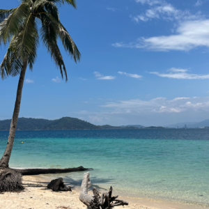 015 七天旅行回来,我们的友谊健在