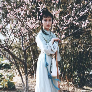 黛玉葬花 花落情未了，人散志更坚