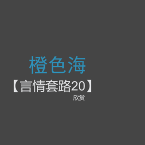 言情套路20：最喜欢的是你眼里的我