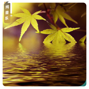 【纯音乐】聆听·空谷蝉鸣