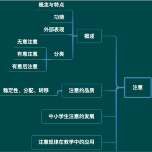Vol. 10 普心框架：⭐️认知过程(下)