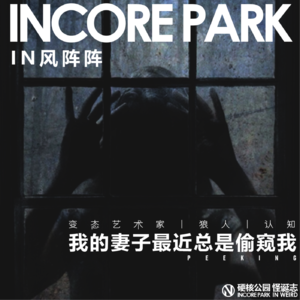 vol.266 IN风阵阵 我的妻子最近总在偷窥我