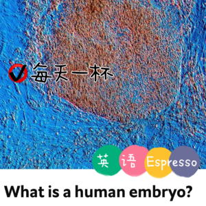 【146】人类胚胎究竟为何物