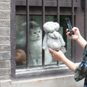 散步实录丨端午节听老虹口口述四川北路记忆（下）