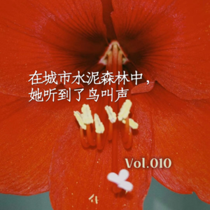 Vol.010 在城市水泥森林中，她听到了鸟叫声