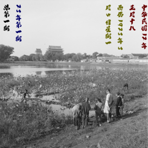 北洋周报23年3月5日第一期