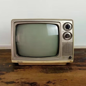 阿瑾和鸡翅的房间(P1)丨东北和西北的镜像童年回忆 vol.16