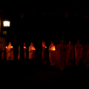 Vol-027 文殊院和成都的根系