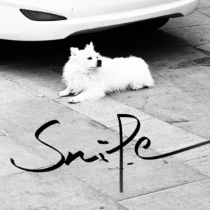 寥聊 SET 「LL」—— 鹬 Snipe