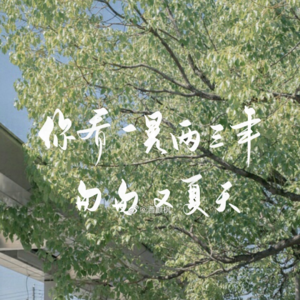 Vol.4 磕最甜的cp单最久的身丨在女生多的大学读书是什么体验?