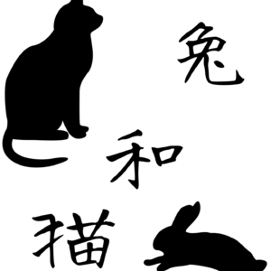 《兔和猫》解读者：朱冠旭