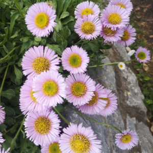 14#感受《小巷人家》书中人间烟火，体验中国版《请回答1988》