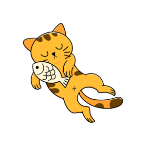 024.一次旅行，一个决定，年近 40 的种种