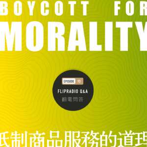 翻电问答 • 93 | 从该不该用B站说开去，抵制某个商品和服务的原因，我们与道德呼吁的关系