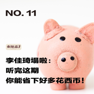 No.0011-李佳琦塌啦:听完这期你能省下好多花西币!