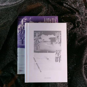 [子夜书社]《远大前程》（三）王苏辛