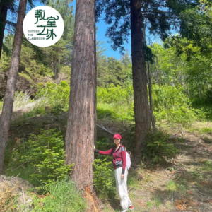 Vol.11压力之下，如何才能不发疯啊啊啊|走进森林疗愈