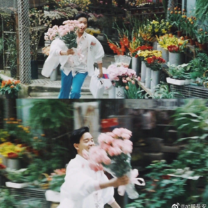 🌌星命易理010｜💧天相星 柔弱心软面子大，实诚财荫贵气多