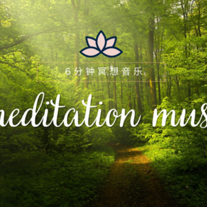 6分钟瑜伽冥想，化身森林的小鹿探索热带岛屿