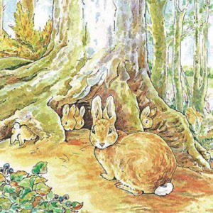 小兔子本杰明的故事1: The Farmer Goes to Town