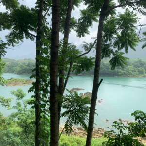 2023年5-8月 Part 1 Rain