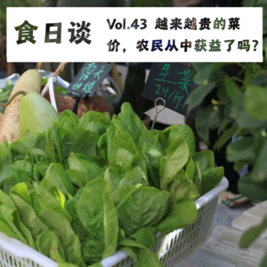 菜价的真相：越来越贵的菜价，农民从中获益了吗？ | 食日谈 Vol.43