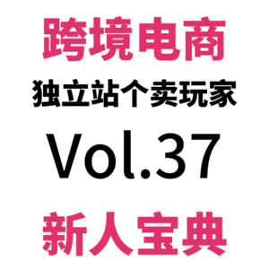 Vol37.全网最全：一篇讲透跨境电商独立站收单、收款、提款！（下）
