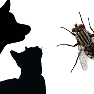 清明节可以快乐么