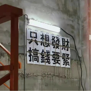 九月来信|我们居然提到了“五百万”?! 播放 00:00