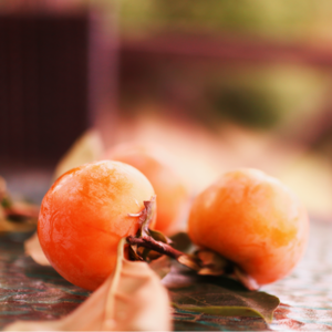 No.6 | 量化offer通关秘籍！