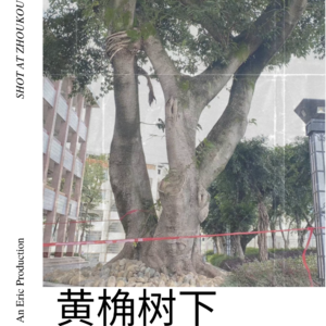随想017-黄桷树下-从维珍集团创始人的发家之路回看我高中的创刊经历