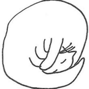 粤读诗|西西《面包》