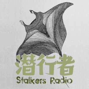 Vol.4 百年呐喊|革命震荡中的乡土社会:关于国民性的WHAT/WHY/HOW