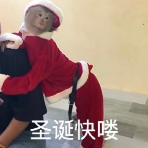 04｜圣诞恋爱航班，公主请登机！
