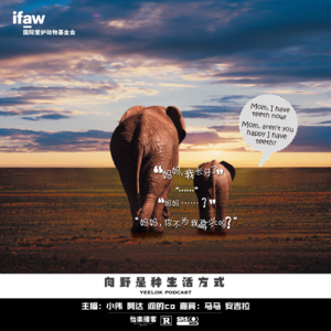 643.向野是种生活方式