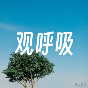 5分钟入门｜观呼吸练习