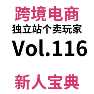 Vol116.跨境电商独立站新人日常运营优化最全攻略（上）！大佬们嘴里说的“优化你的站”到底优化的是什么鬼啊？