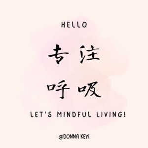 专注呼吸:呼吸的旅程