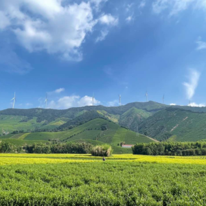 9月 总有新的故事值得期盼