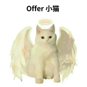 Vol.85 求职大补课，offer有着落
