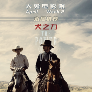 Vol.8-犬之力|憾失奥斯卡最佳影片的白月光