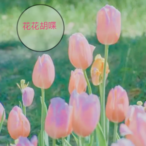 动一动，证明咱还活着～